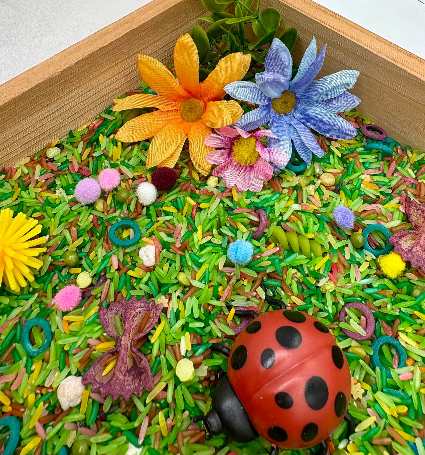 Backyard Bugs Sensory Bin
